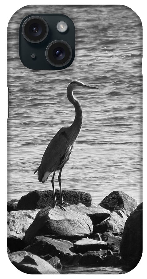 Wildlife iPhone Case featuring the photograph Heron on the Rocks by William Selander