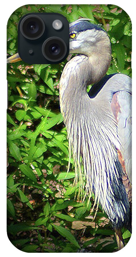 Heron iPhone Case featuring the digital art Blue Heron with an Attitude by Kathy Kelly
