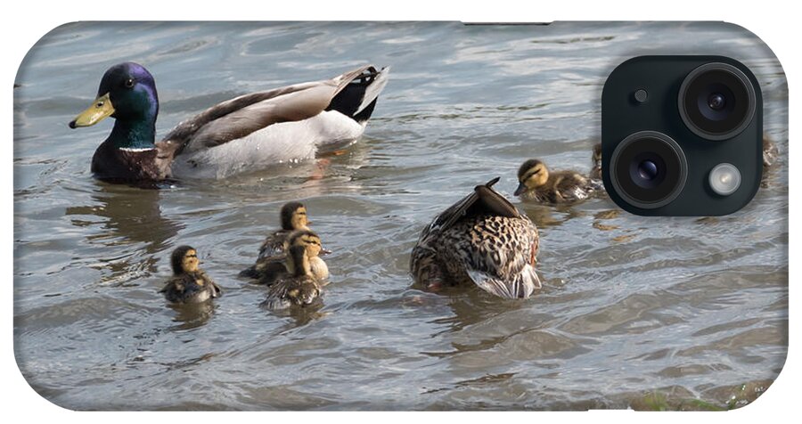 Mallards iPhone Case featuring the photograph Hey Mom What Are You Doing by Holden The Moment