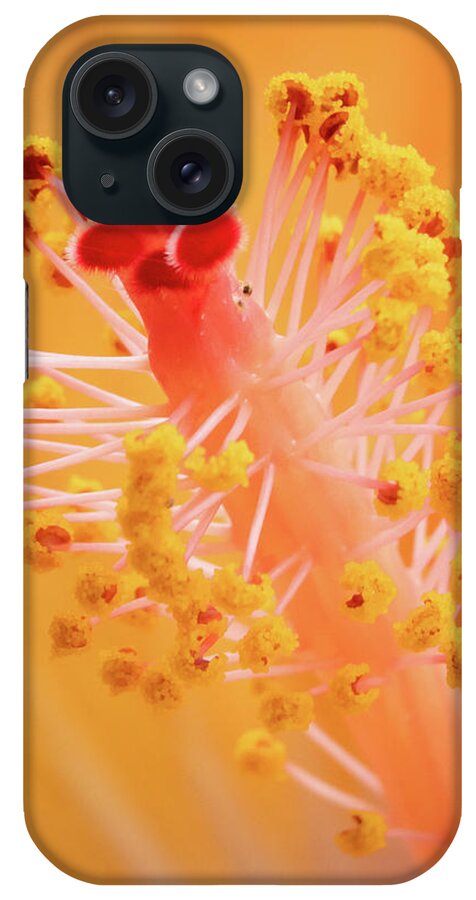 Ebd iPhone Case featuring the photograph Hibiscus-1 by David Coblitz