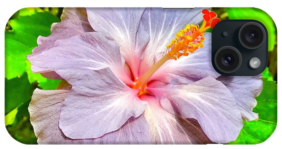 Hibiscus Adele 1 Flowers Of Aloha Lavender iPhone Case featuring the photograph Hibiscus Adele 1 by Joalene Young