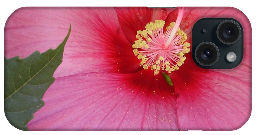 Hibiscus iPhone Case featuring the photograph Hibiscus by Anjel B Hartwell