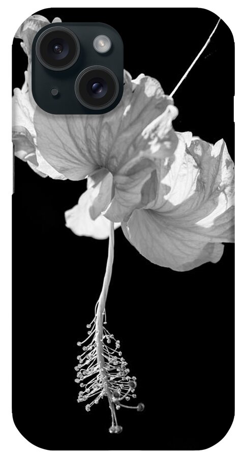Black iPhone Case featuring the photograph Hibiscus as Art 1 by Hitendra SINKAR