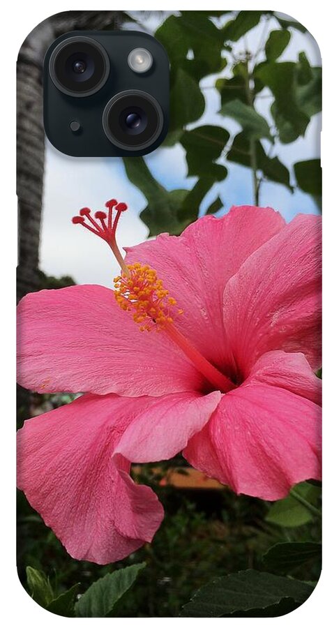 Hibiscus iPhone Case featuring the photograph Hibiscus S D Z 1 by DiDesigns Graphics