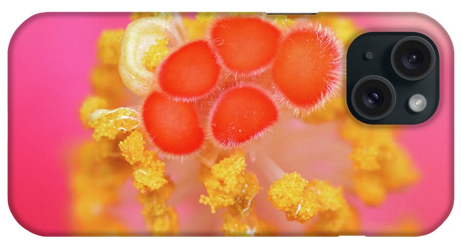 Hibiscus iPhone Case featuring the photograph Hibiscus stigma by Karen Smale