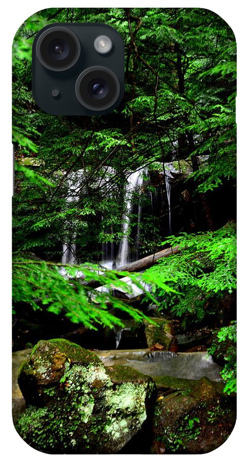 Mcconnell Mill State Park Pa iPhone Case featuring the photograph Hidden Beauty by Lisa Wooten