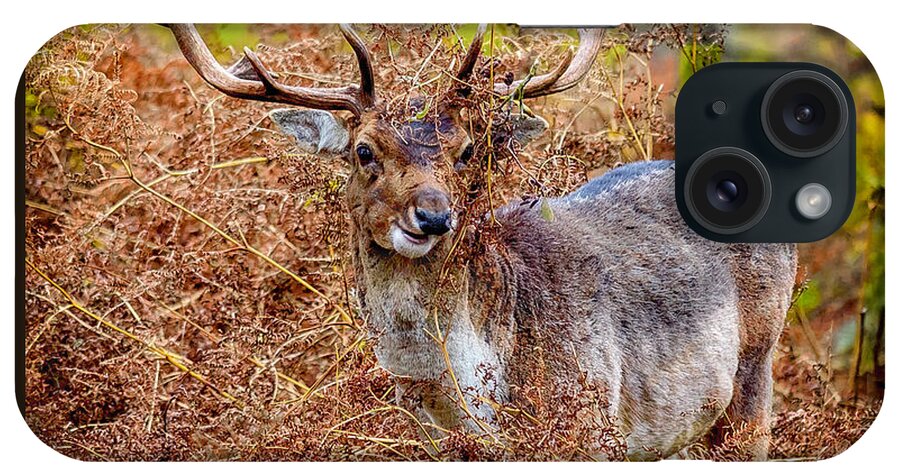 Deer iPhone Case featuring the photograph Hiding in the Bracken by Nick Bywater