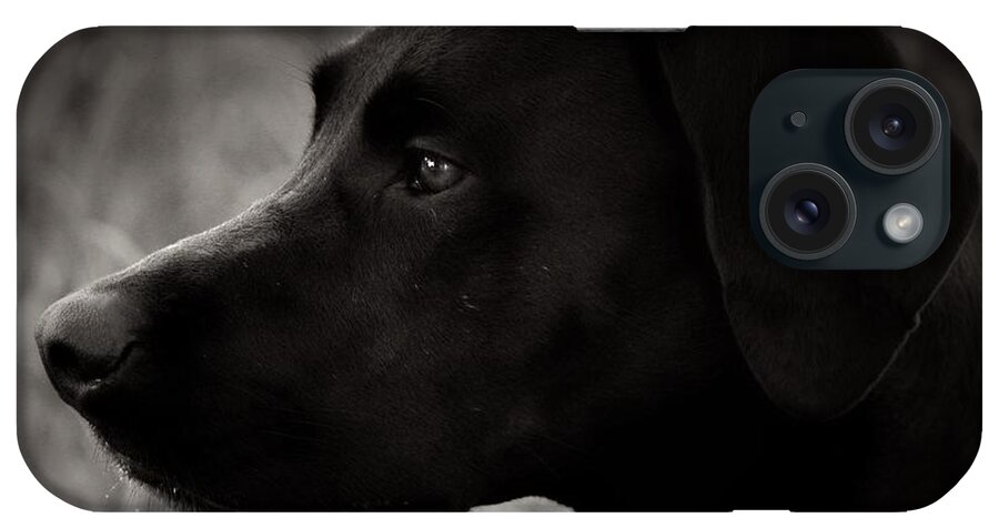 Black Dog iPhone Case featuring the photograph High Gloss by Clare Bevan