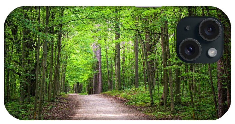 Trail iPhone Case featuring the photograph Hiking trail in green forest by Elena Elisseeva