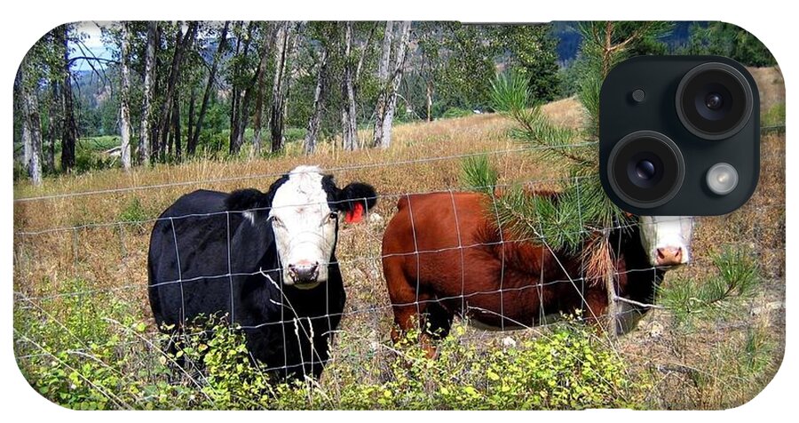 #livestock iPhone Case featuring the photograph Hillside Buddies by Will Borden