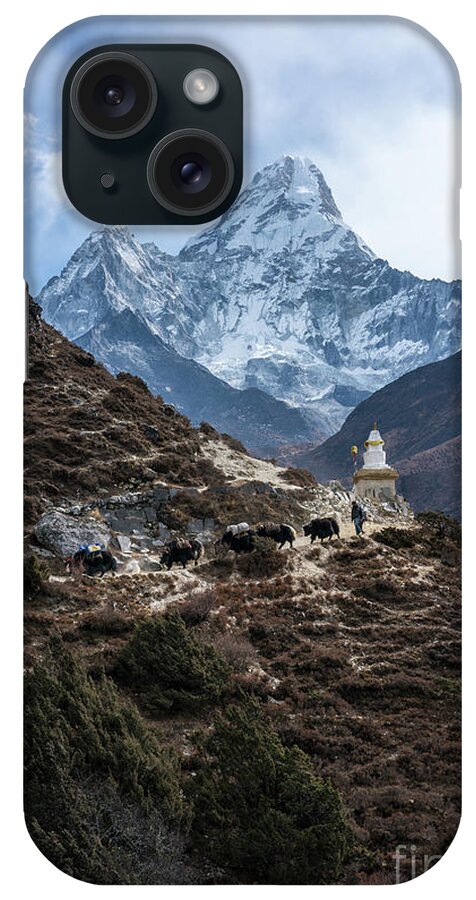 Ama Dablam iPhone Case featuring the photograph Himalayan Yak Train by Mike Reid