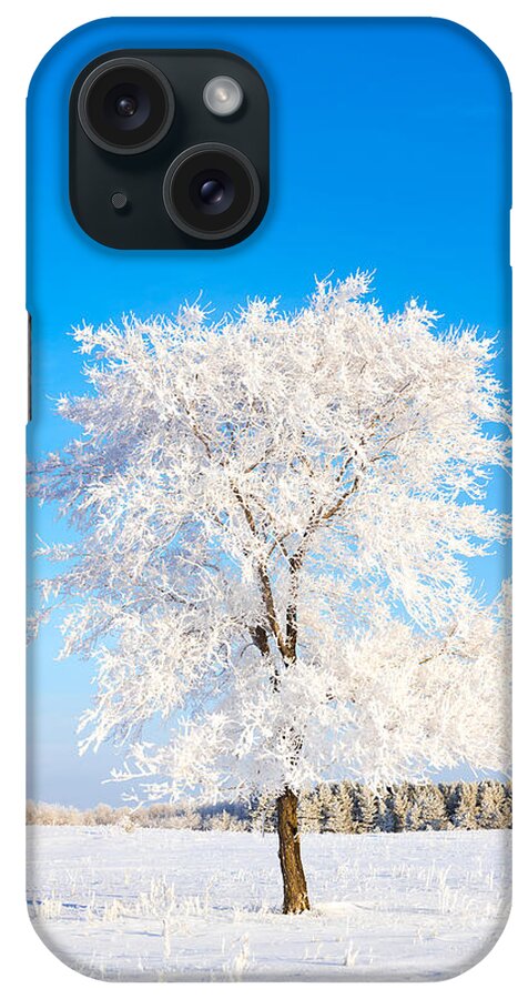 Hoar Frost iPhone Case featuring the photograph Hoar Frost by Nebojsa Novakovic