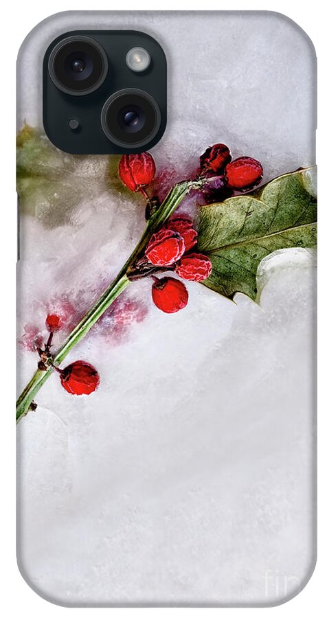 Holly iPhone Case featuring the photograph Holly 4 by Margie Hurwich