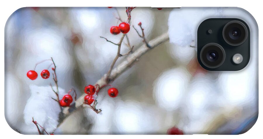Holly Berry iPhone Case featuring the photograph Holly Berries In Snow by Carol Montoya