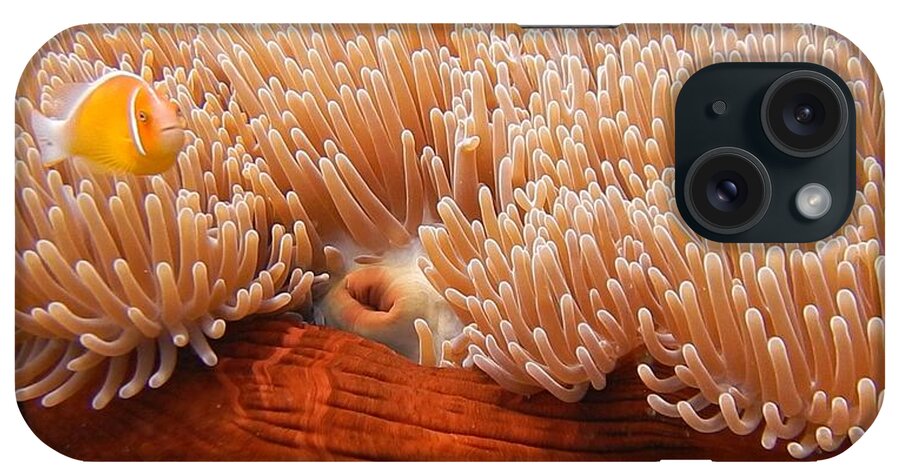 Clown iPhone Case featuring the photograph Home of the Clown Fish 3 by Michael Scott