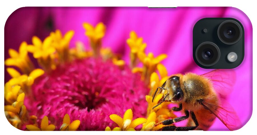 Pink iPhone Case featuring the photograph Honey Bee Pollinating Zinnia by Angela Rath