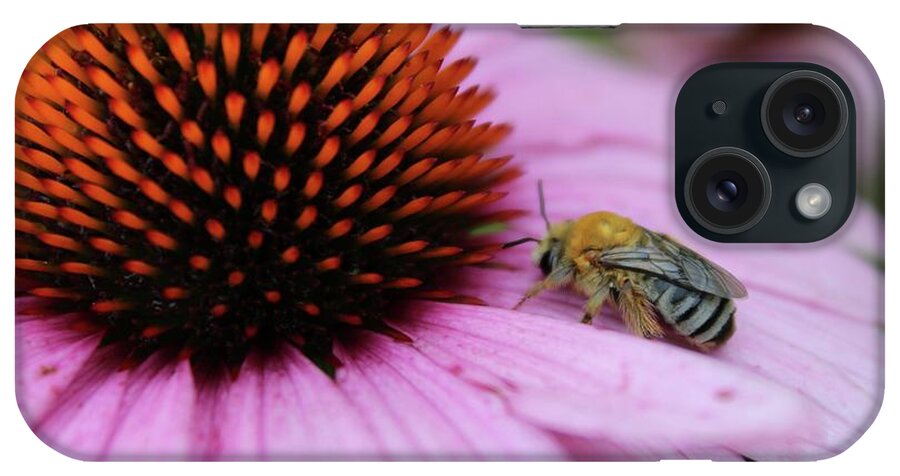 Photograph iPhone Case featuring the photograph Honey Bee Resting on a Purple Cone Flower by M E