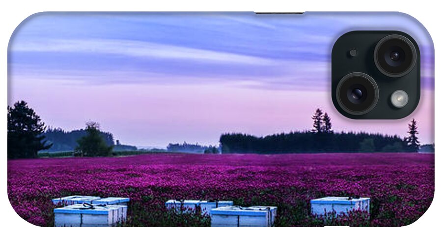 Landscape iPhone Case featuring the photograph Honey in the making by Steven Clark