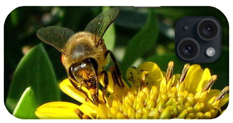Bee iPhone Case featuring the photograph Honey Starts Here by T Guy Spencer
