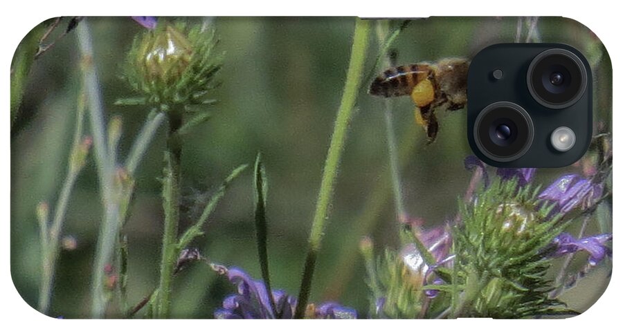 Macro iPhone Case featuring the photograph Honeybee 2 by Christy Garavetto