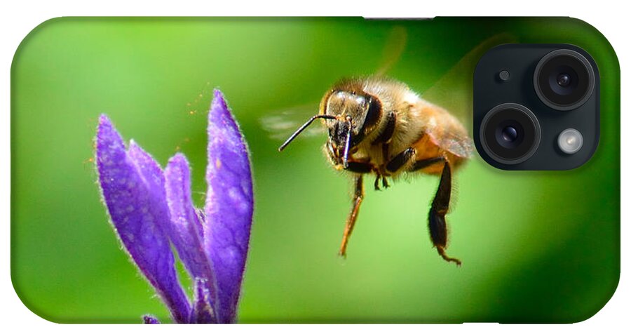 Honeybee iPhone Case featuring the photograph Honeybee and Lavendar Blossom by Brian Tada