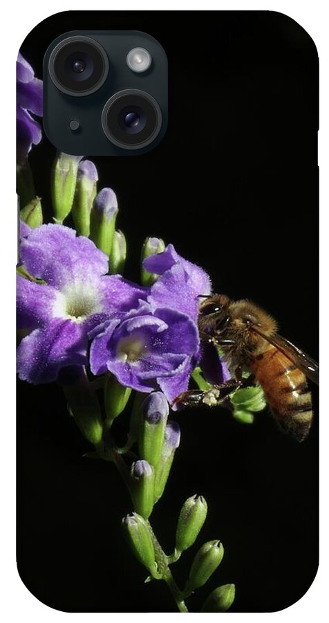 Bees iPhone Case featuring the photograph Honeybee on Golden Dewdrop by Richard Rizzo