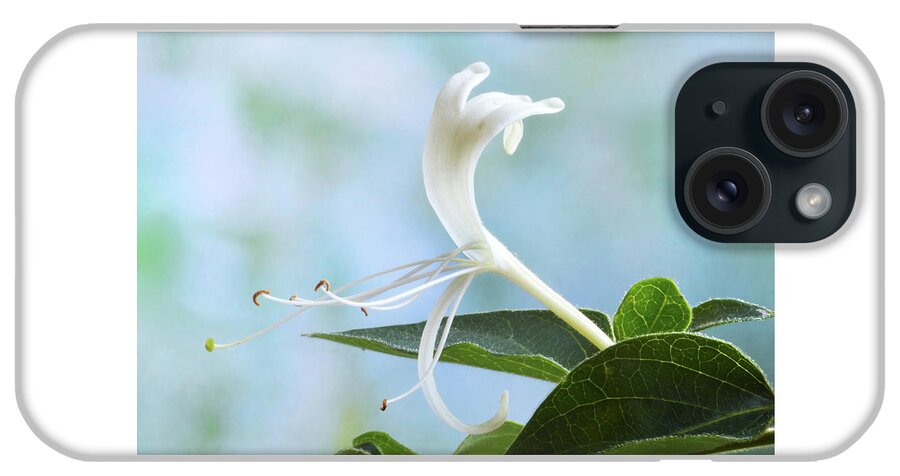 Honeysuckle iPhone Case featuring the photograph Honeysuckle Portrait. by Terence Davis