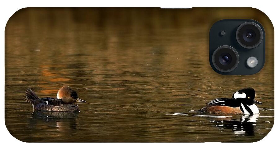 Wildlife iPhone Case featuring the photograph Hooded Mergansers by Sheila Ping
