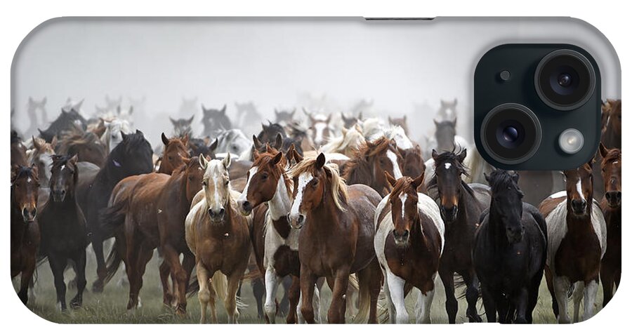Horses iPhone Case featuring the photograph Horse Drive 5599 by Carien Schippers