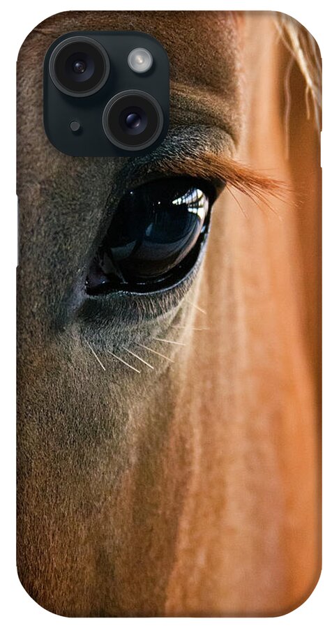 3scape Photos iPhone Case featuring the photograph Horse Eye by Adam Romanowicz