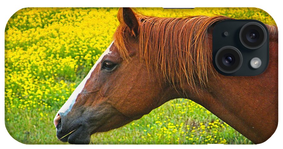 Horse iPhone Case featuring the photograph Horse in Yellow Field by Wendy McKennon