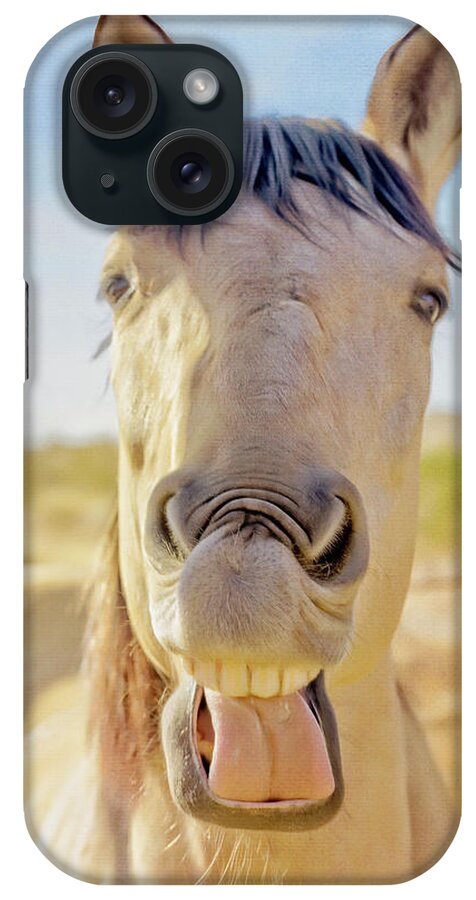 Horses iPhone Case featuring the photograph Horse Talk #2 by Walter Herrit