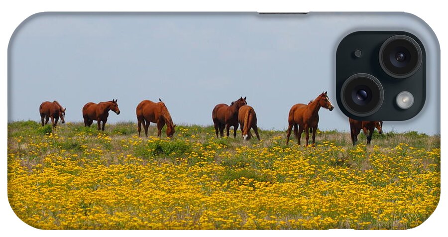 Horse iPhone Case featuring the photograph Horses and wildflowers 2AM-23503 by Andrew McInnes