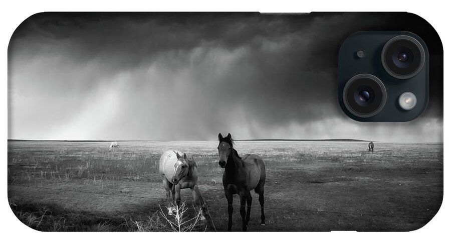 Colorado iPhone Case featuring the photograph Horses In The Storm by John De Bord