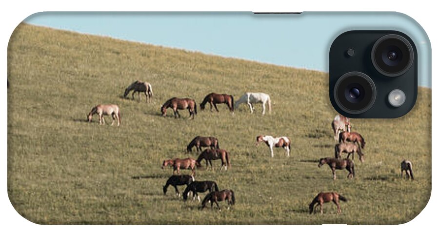 Horses iPhone Case featuring the photograph Horses On The Hill by D K Wall