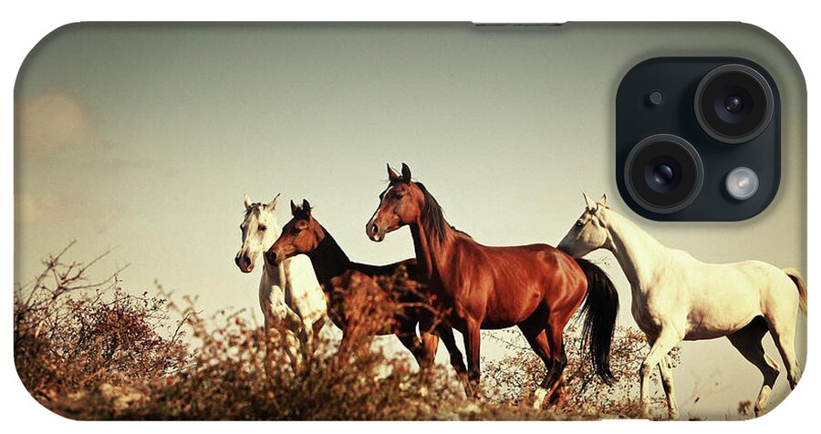 Horses iPhone Case featuring the photograph Horses running stallions - Black and White by Dimitar Hristov