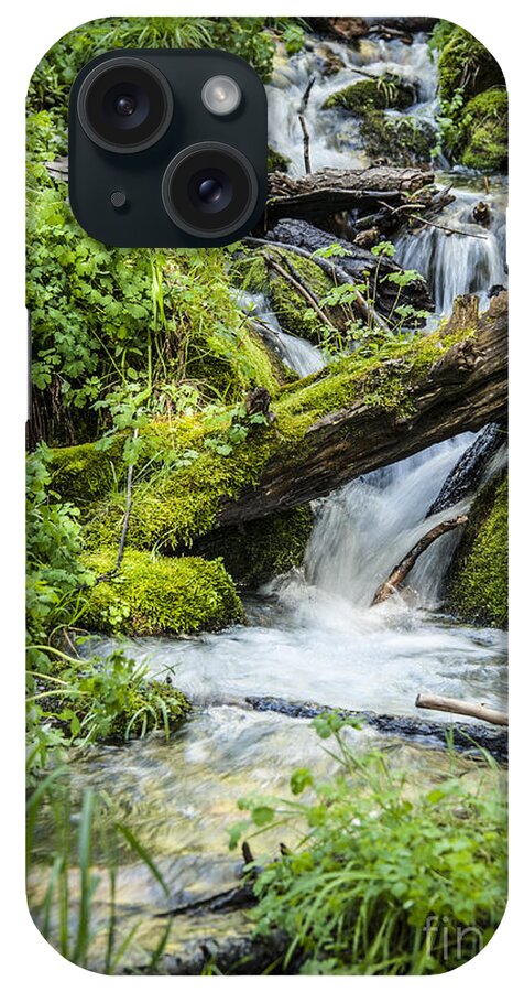 Horton Springs iPhone Case featuring the photograph Horton Springs by Anthony Citro