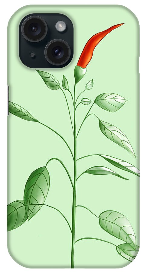 Chili iPhone Case featuring the digital art Hot Chili Pepper Plant Botanical Illustration by Boriana Giormova