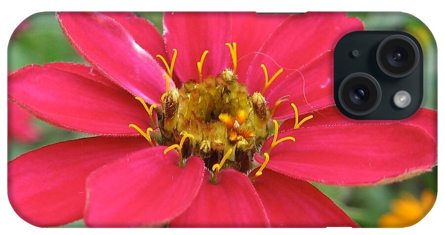 Flower iPhone Case featuring the photograph Hot Pink Flower by Glenda Zuckerman