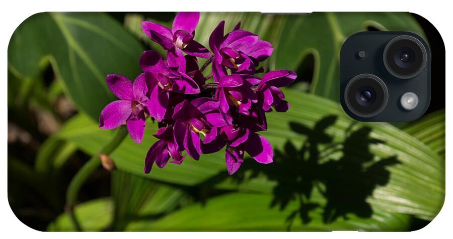 Hot Pink iPhone Case featuring the photograph Hot Pink Orchids - Exotic Tropical Shadows by Georgia Mizuleva