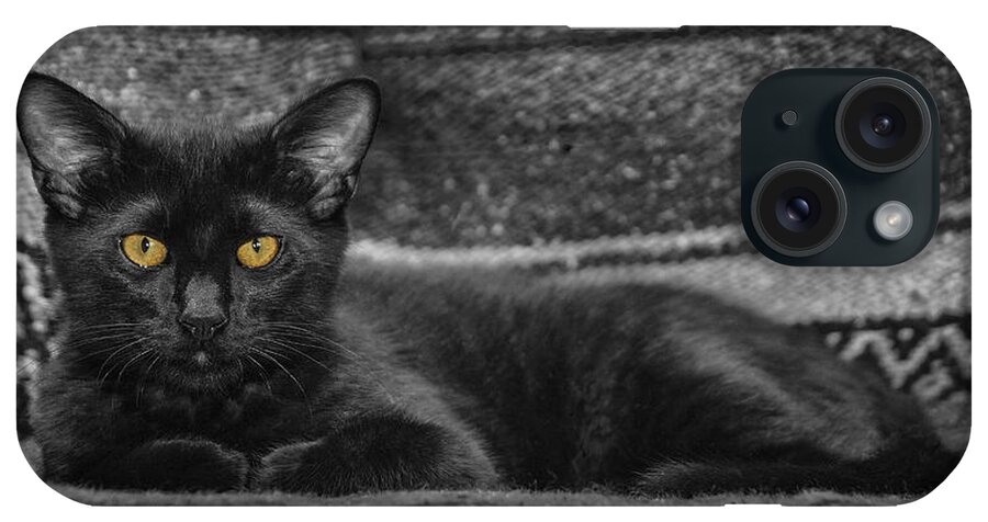 Cat iPhone Case featuring the photograph House Panther by Karen Slagle