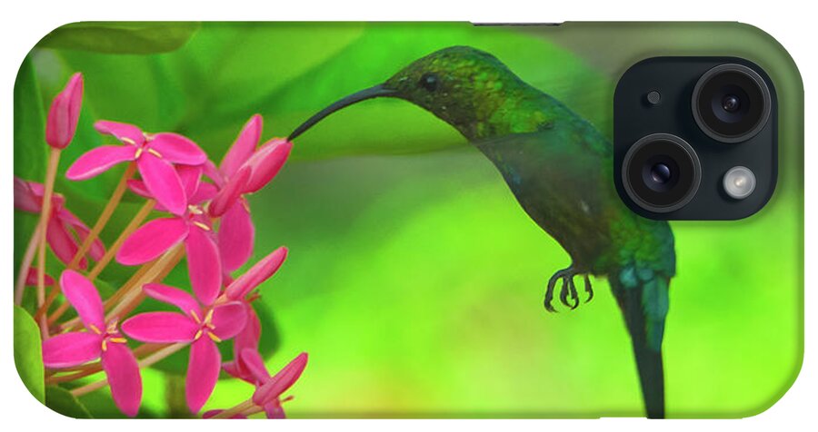 20170824 iPhone Case featuring the photograph Hummer on St Croix Flowers Vertical by Jeff at JSJ Photography