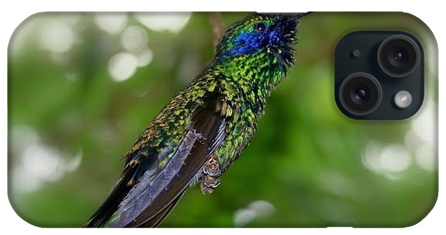 Hummingbird iPhone Case featuring the photograph Iridescence by Carolyn Mickulas