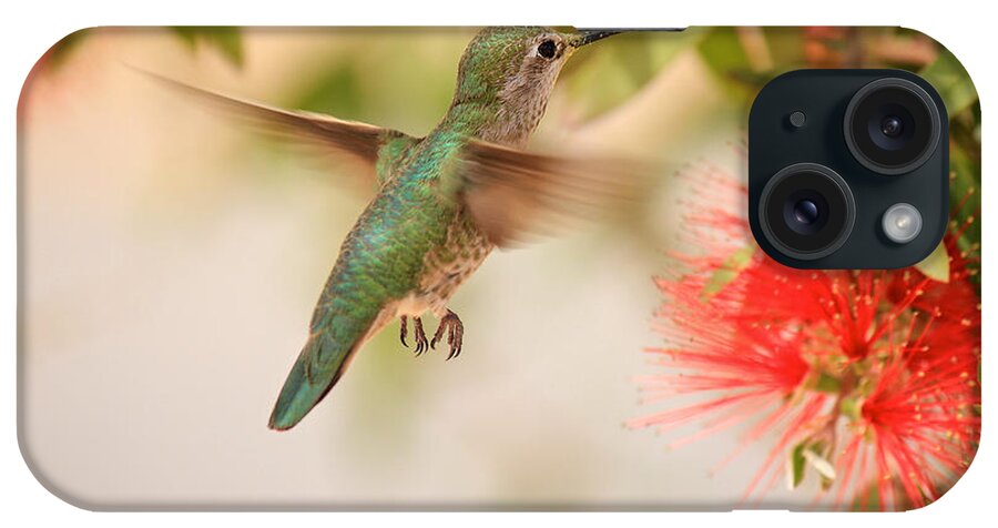 Hummingbird iPhone Case featuring the photograph Hummingbird in Paradise by Penny Meyers
