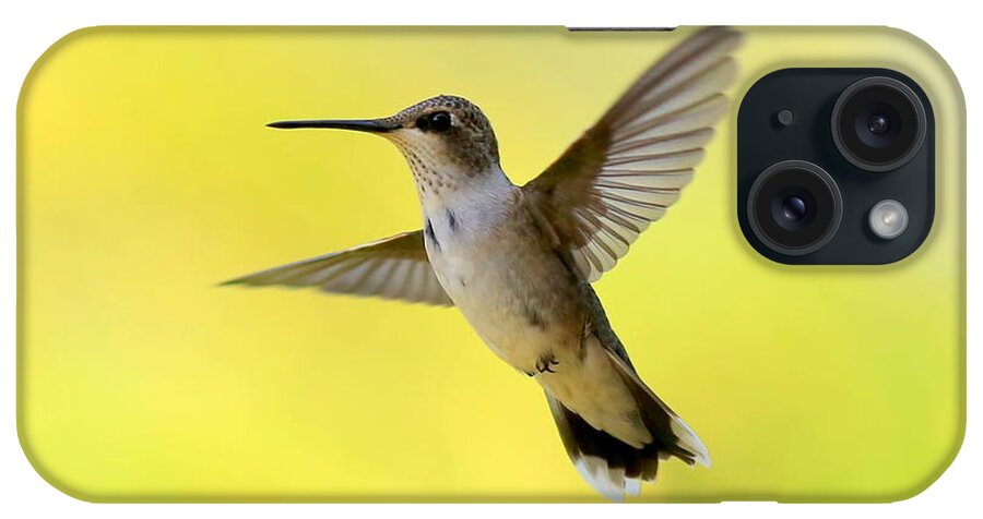 Hummingbird iPhone Case featuring the photograph Hummingbird in Yellow by Carol Groenen