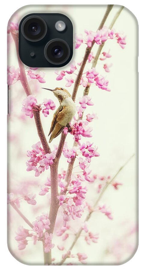 Hummingbird iPhone Case featuring the photograph Hummingbird Perched Among Pink Blossoms by Susan Gary