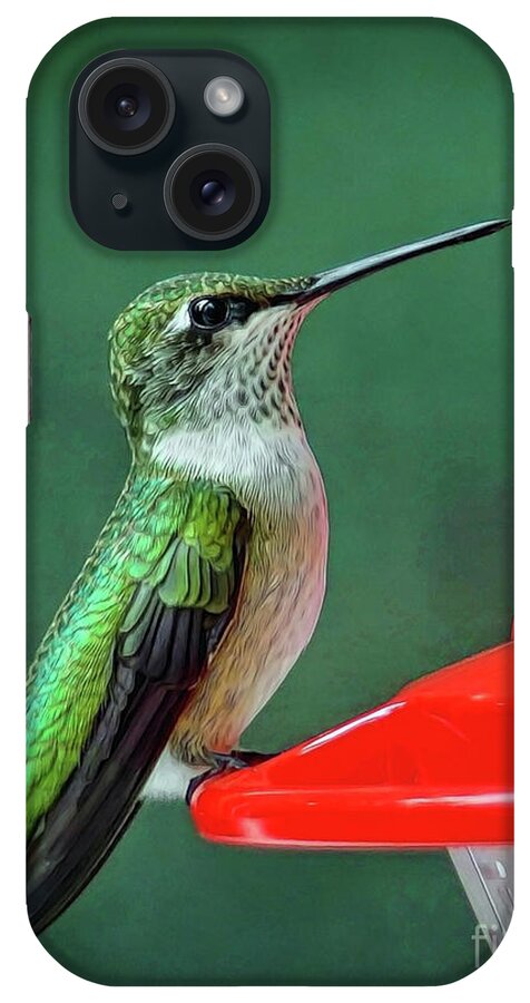 Hummingbird iPhone Case featuring the photograph Hummingbird Portrait by Sue Melvin