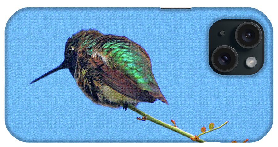 Hummingbird Resting iPhone Case featuring the photograph Hummingbird Resting by Tom Janca