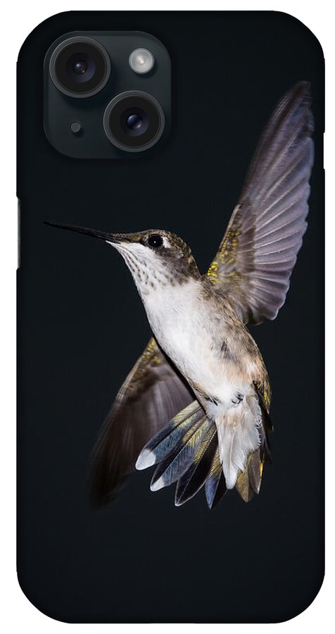 Hummingbird iPhone Case featuring the photograph Hummingbird Yoga by Holden The Moment