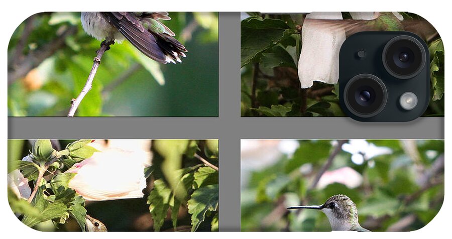 Nature iPhone Case featuring the photograph Hummingbirds by John Freidenberg